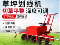 點(diǎn)擊查看詳細(xì)信息<br>標(biāo)題：草皮劃線(xiàn)機(jī) 閱讀次數(shù)：2172